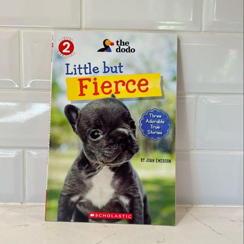 Little but Fierce (the Dodo: Scholastic Reader, Level 2)