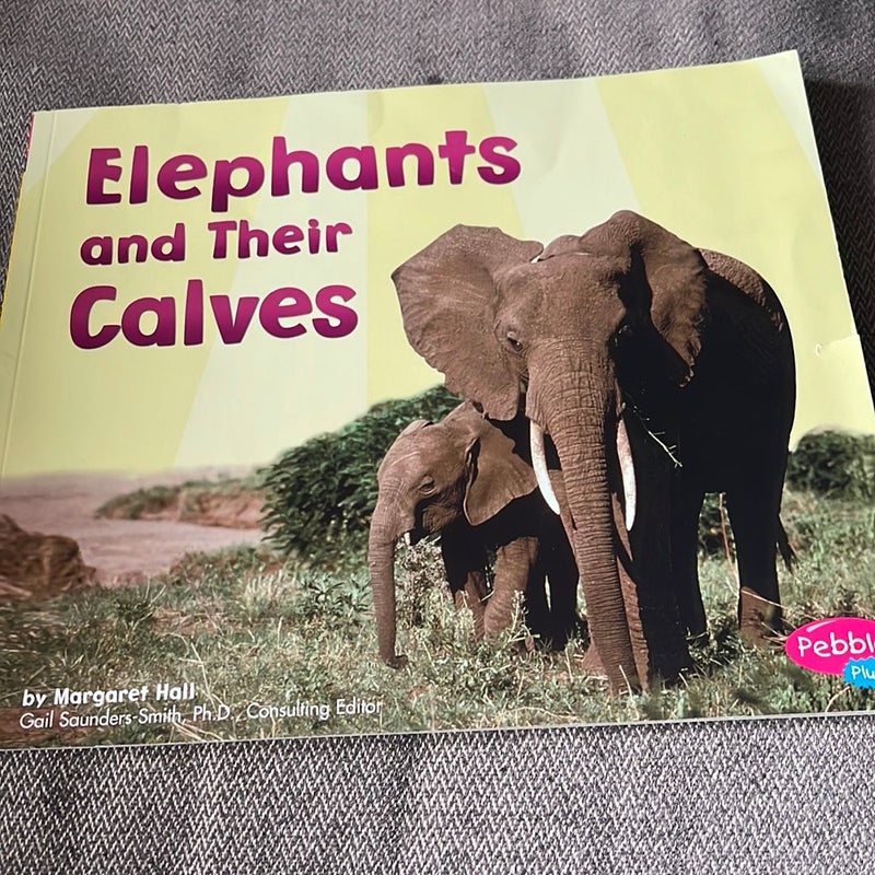 Elephants and Their Calves