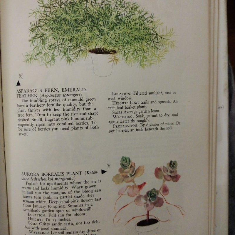 The woman's day book of houseplants