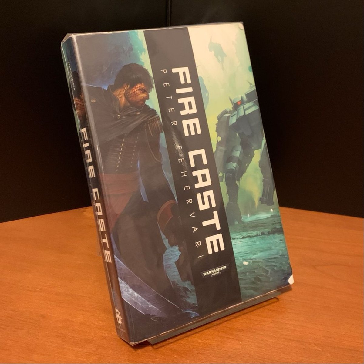 Fire Caste by Peter Fehervari