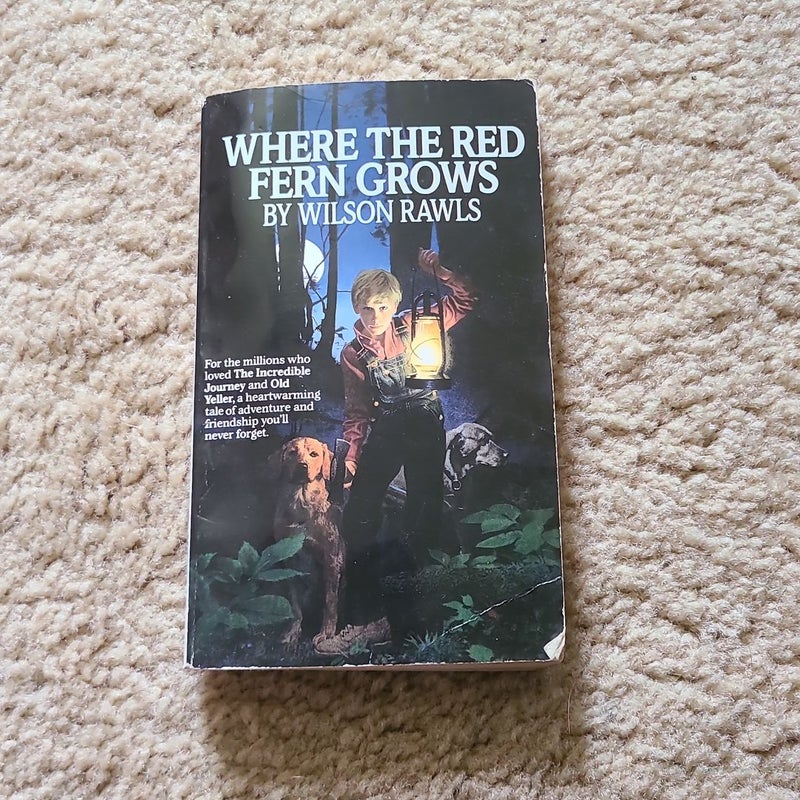 Where the red fern grows