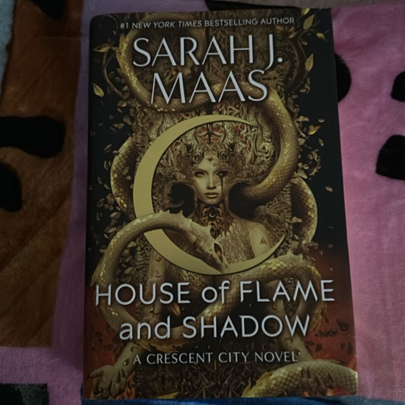 House of flame and shadow