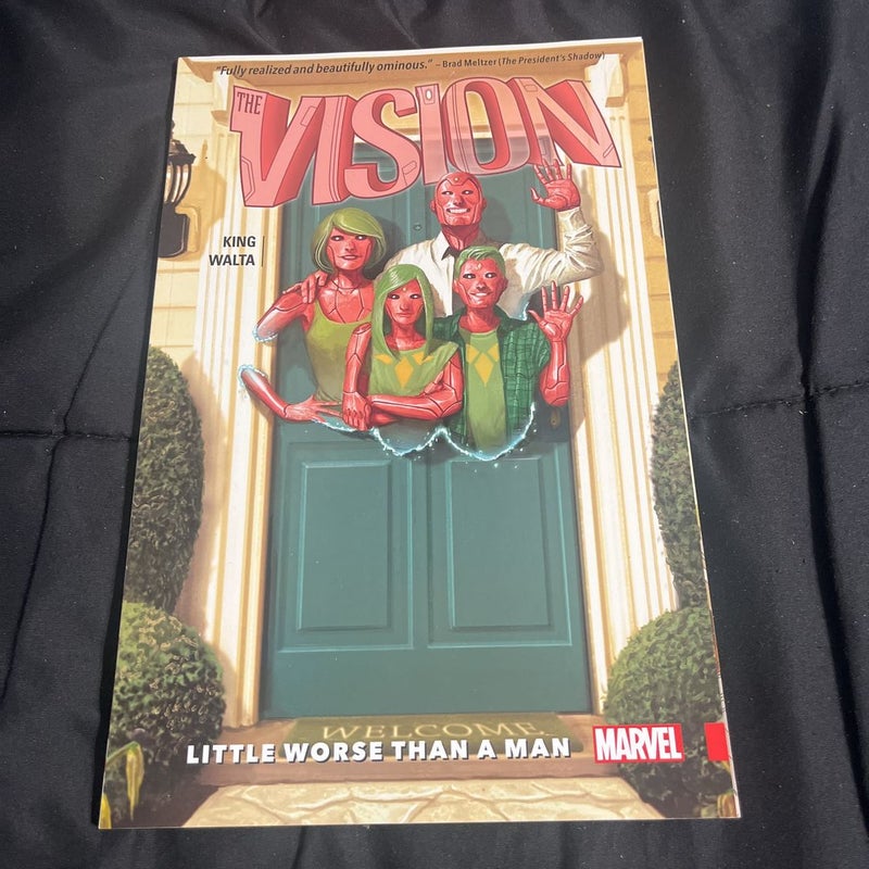 Vision Vol. 1
