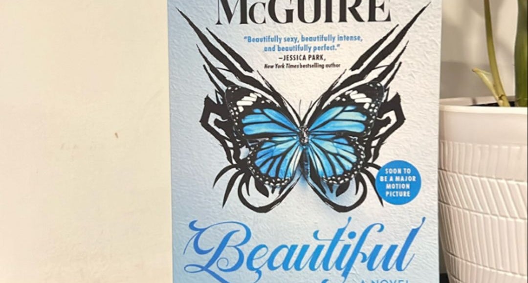 Beautiful Disaster by Jamie McGuire