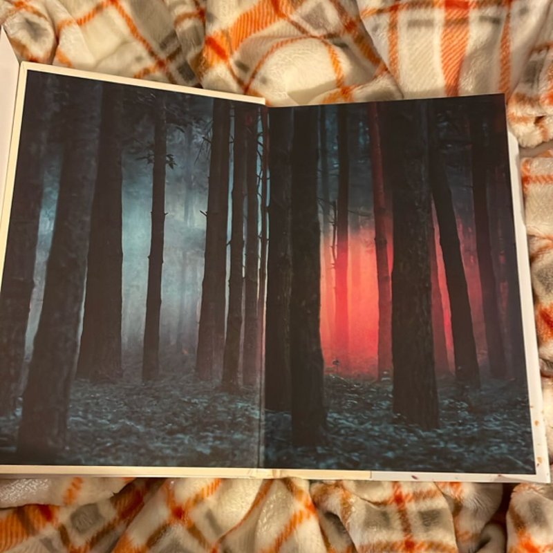 Spark of the Everflame