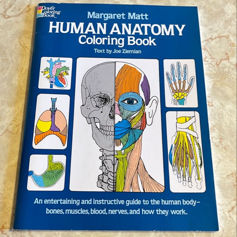 Human Anatomy