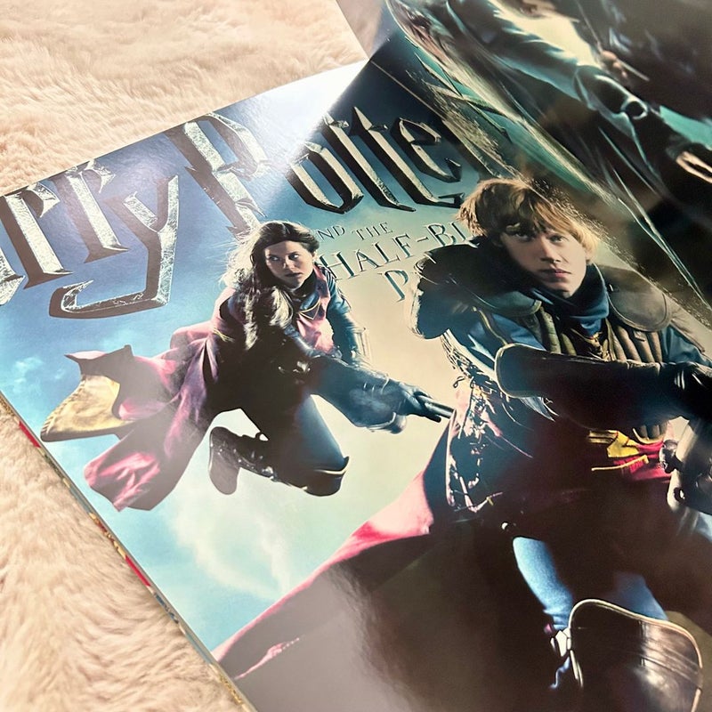 Harry Potter Movie Poster Collection