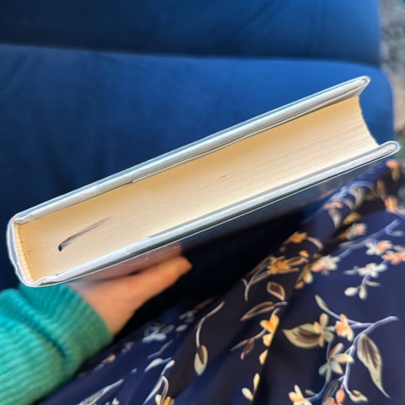 My Lovely Wife in the Psych Ward