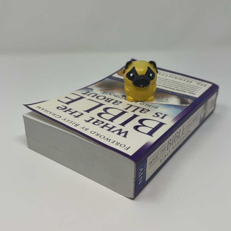 What the Bible Is All about Bible Handbook