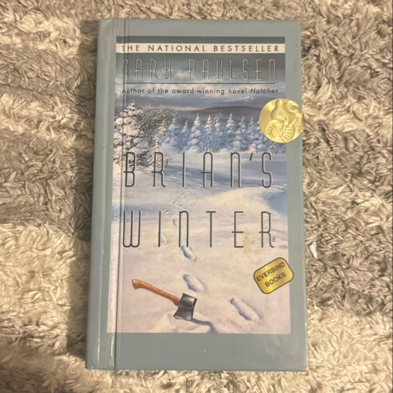 Brian’s Winter