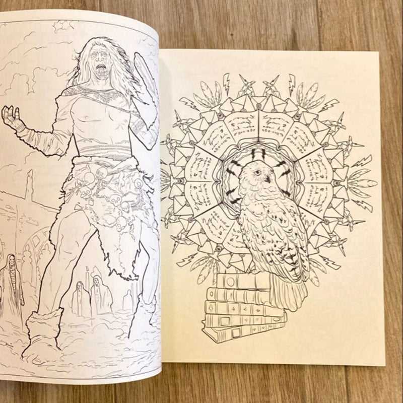 Harry Potter - Magical Creatures Coloring Book