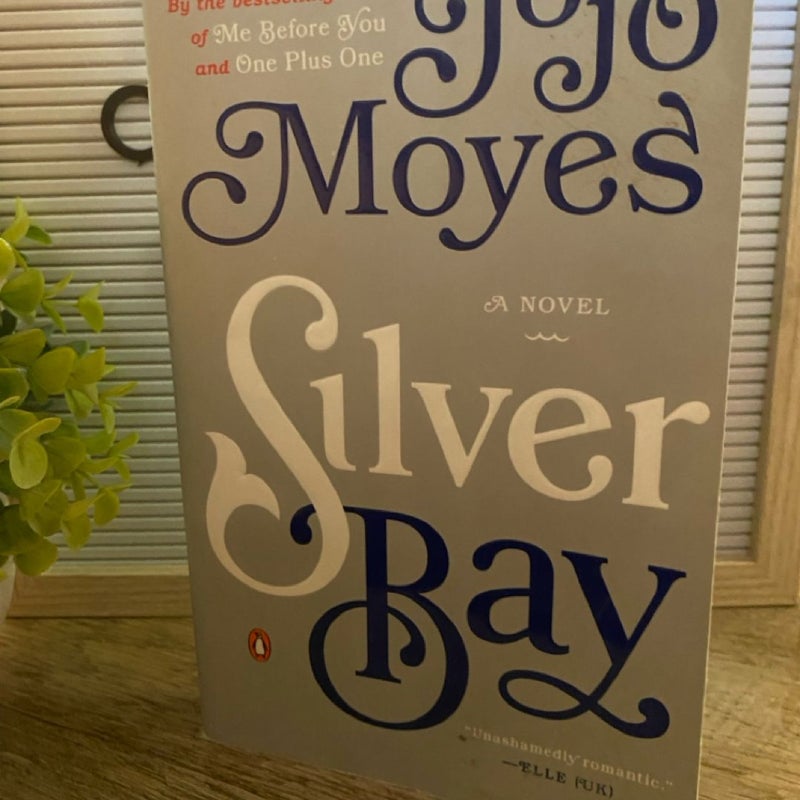 Silver Bay