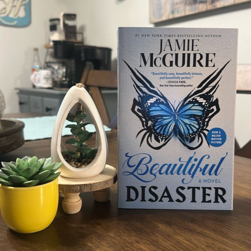 Beautiful Disaster