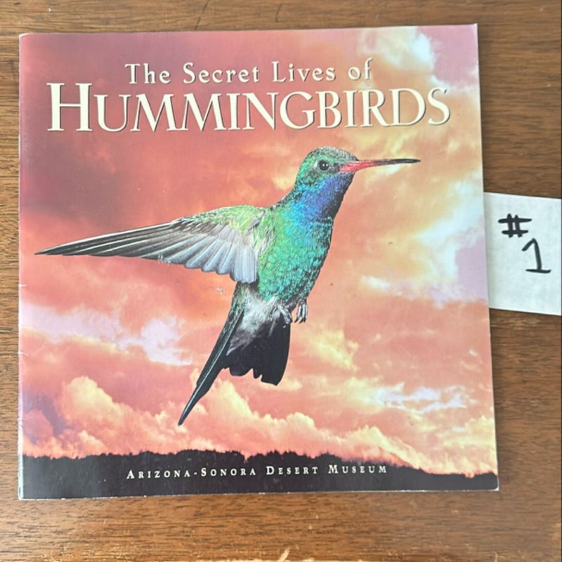 The Secret Lives of Hummingbirds