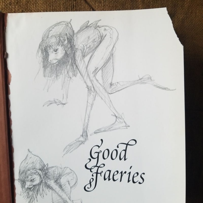 Good Faeries Bad Faeries