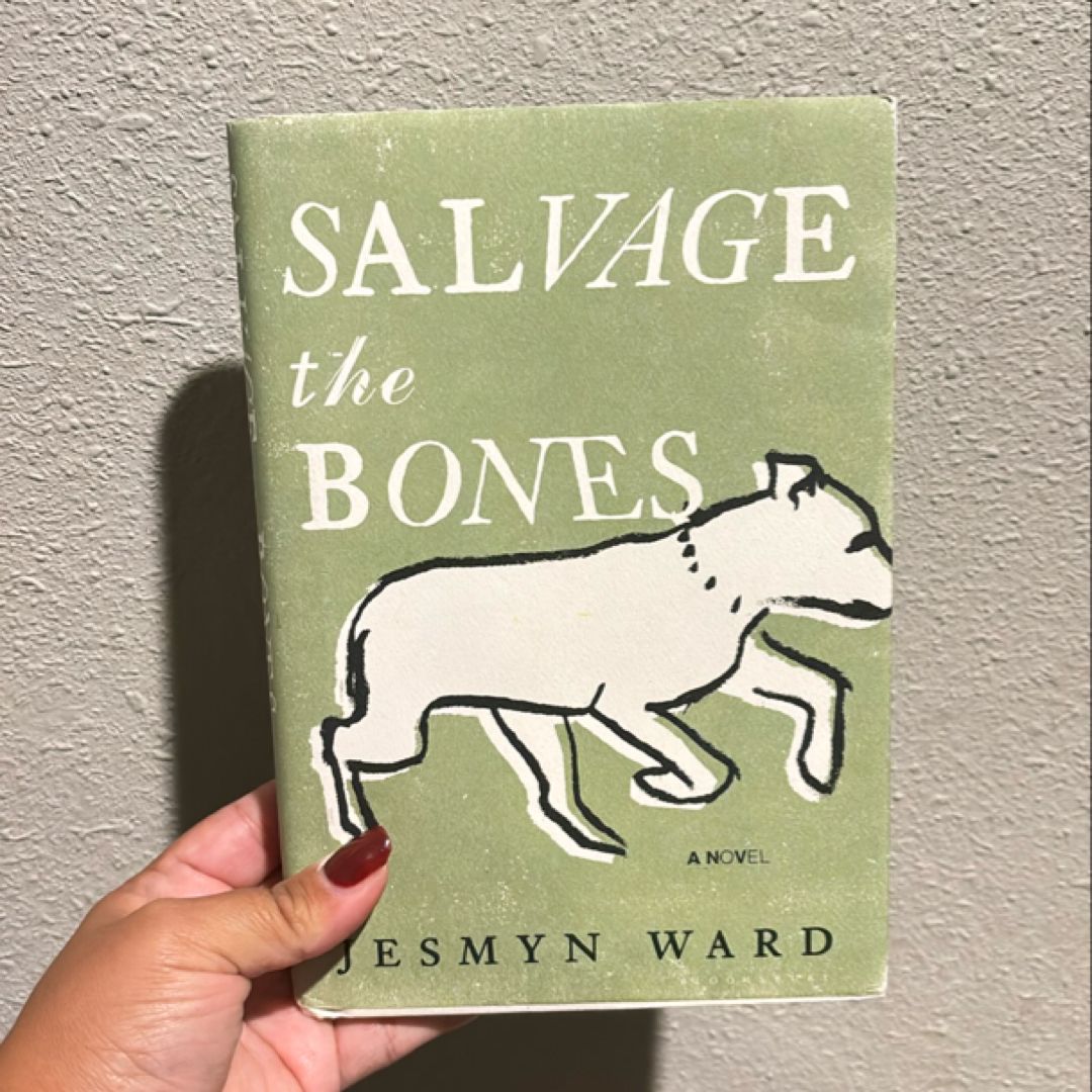 Sale image for 7a84d922-6204-4c13-b7c6-a682f76409a3-VOB24MTZUlcLnzwaevblgefP6kJ3