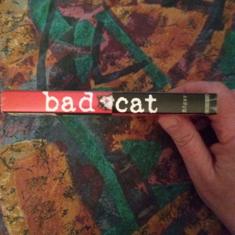 Bad Cat