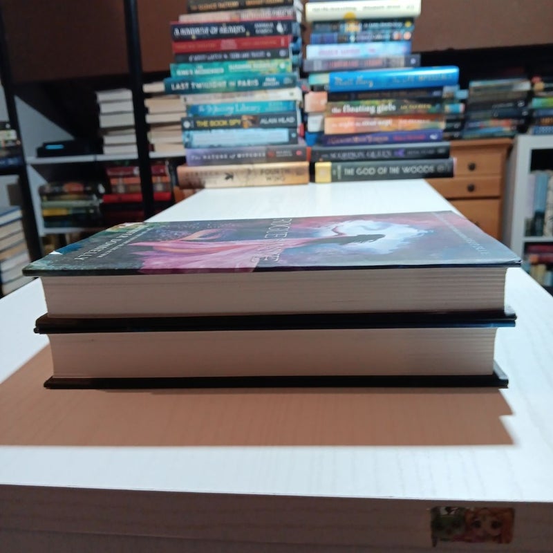 Dark Tide and Rogue Wave book bundle 