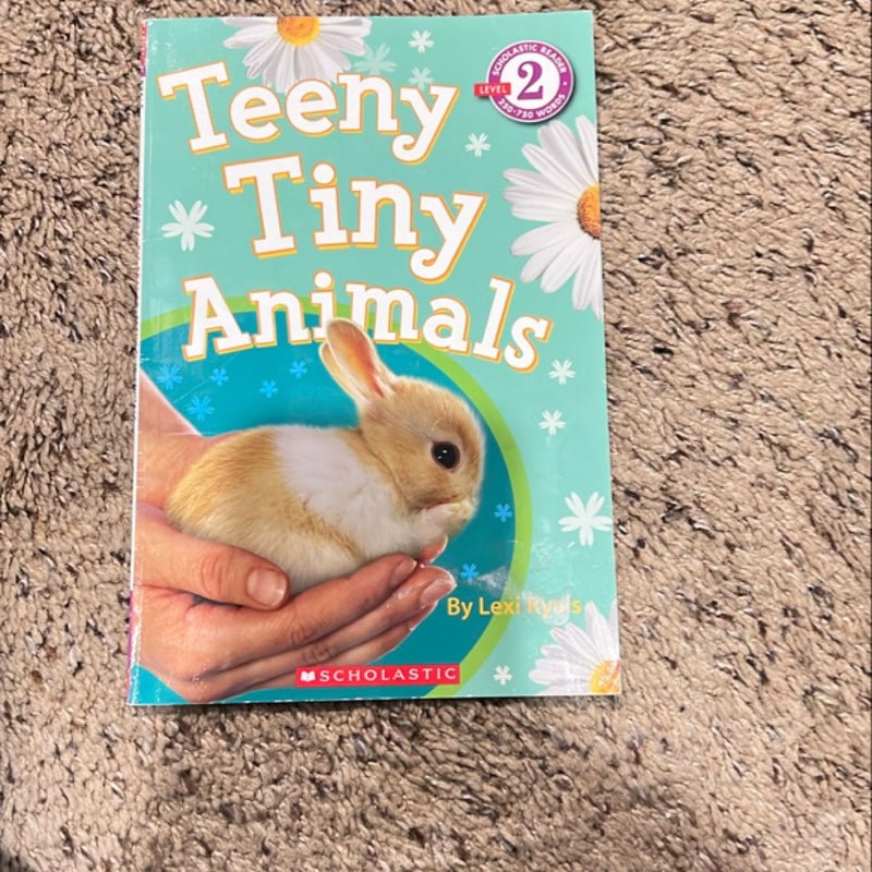 Teeny Tiny Animals