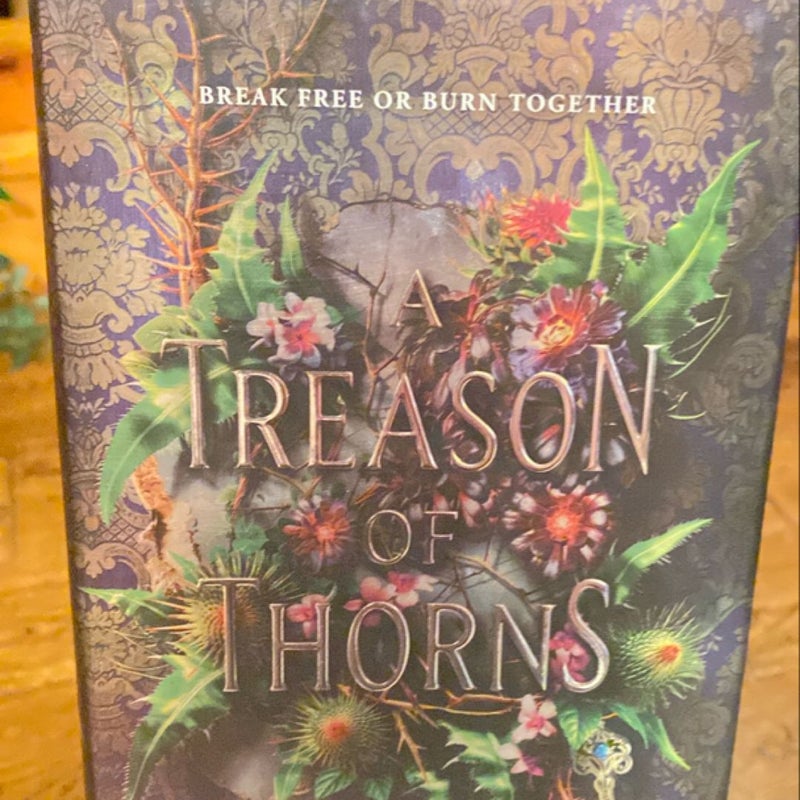 A Treason of Thorns