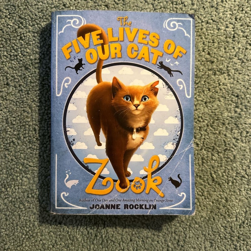 The Five Lives of Our Cat Zook