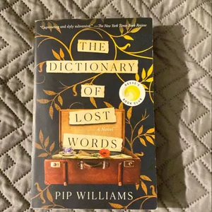 The Dictionary of Lost Words