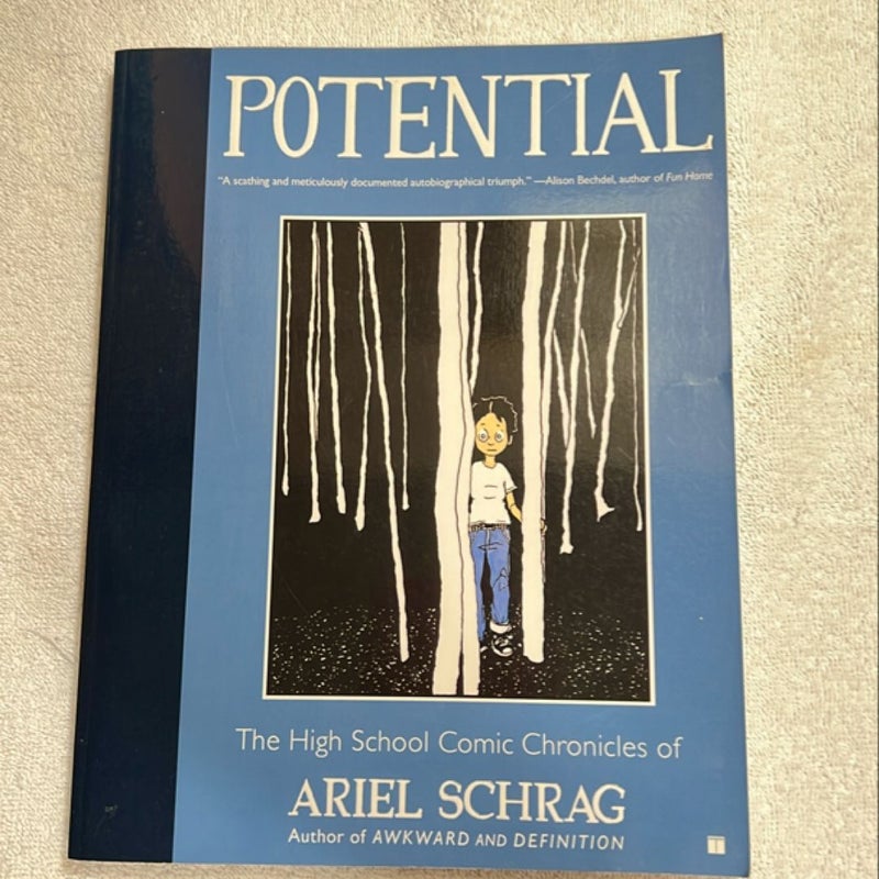 Potential Ariel Schrag High School Comic Chronicles