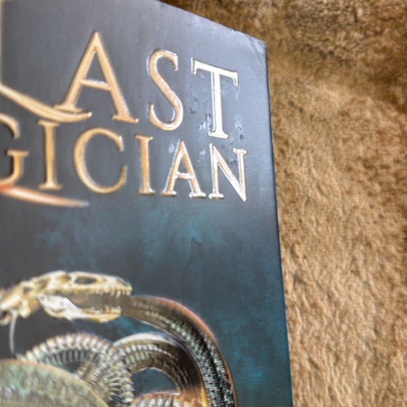 The Last Magician