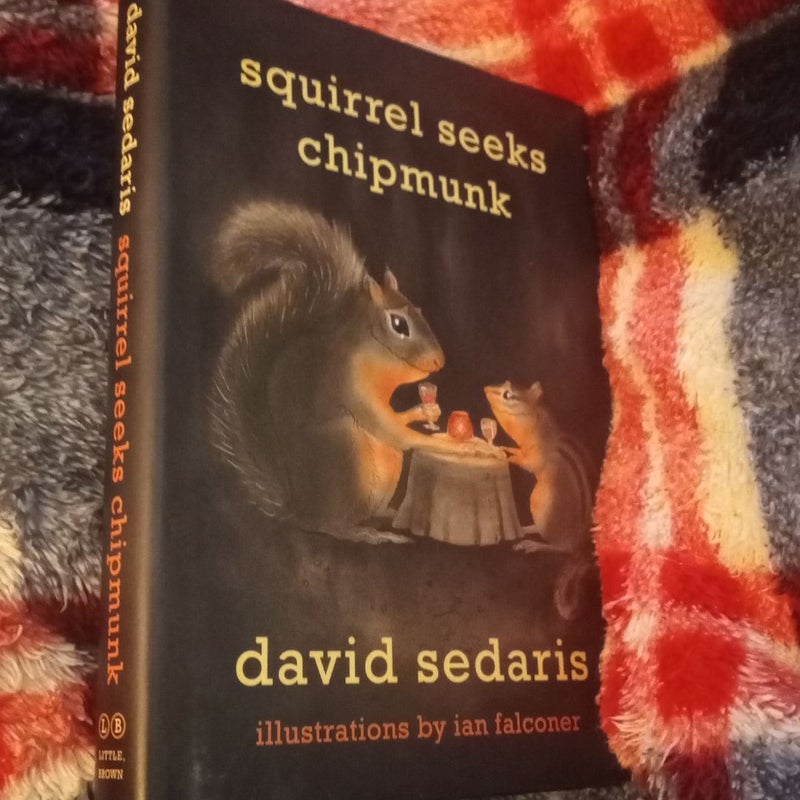 Squirrel Seeks Chipmunk
