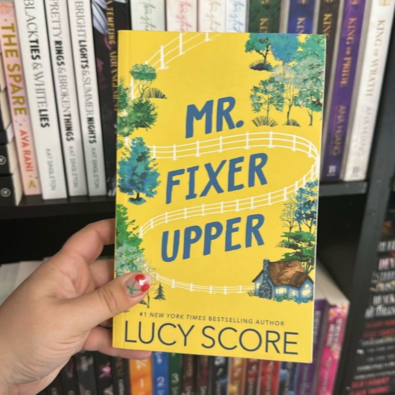 Mr. Fixer Upper