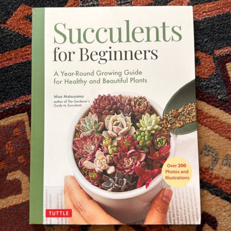 Succulents for Beginners
