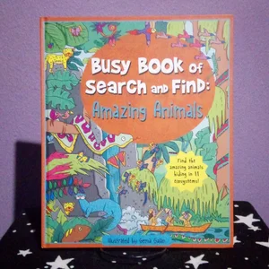 Busy Book of Search and Find