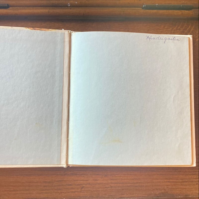 The Squirrel Book