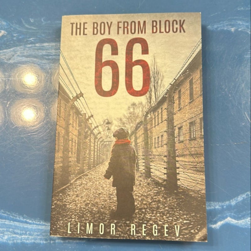 The Boy from Block 66: a WW2 Jewish Holocaust Survival True Story