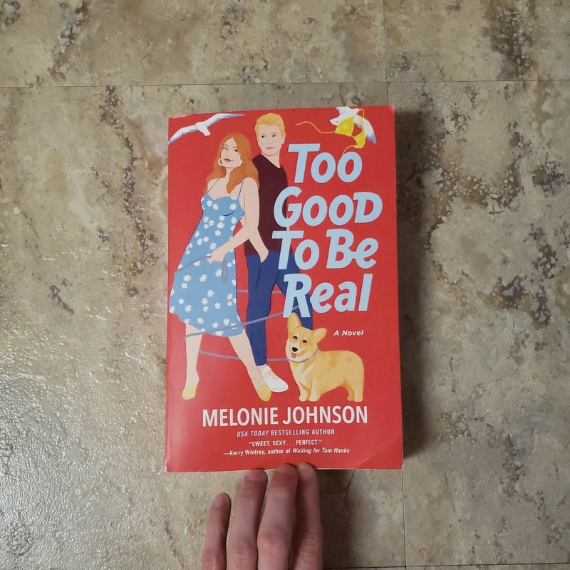 Too Good to Be Real