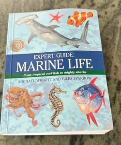 Expert Guide: Marine Life