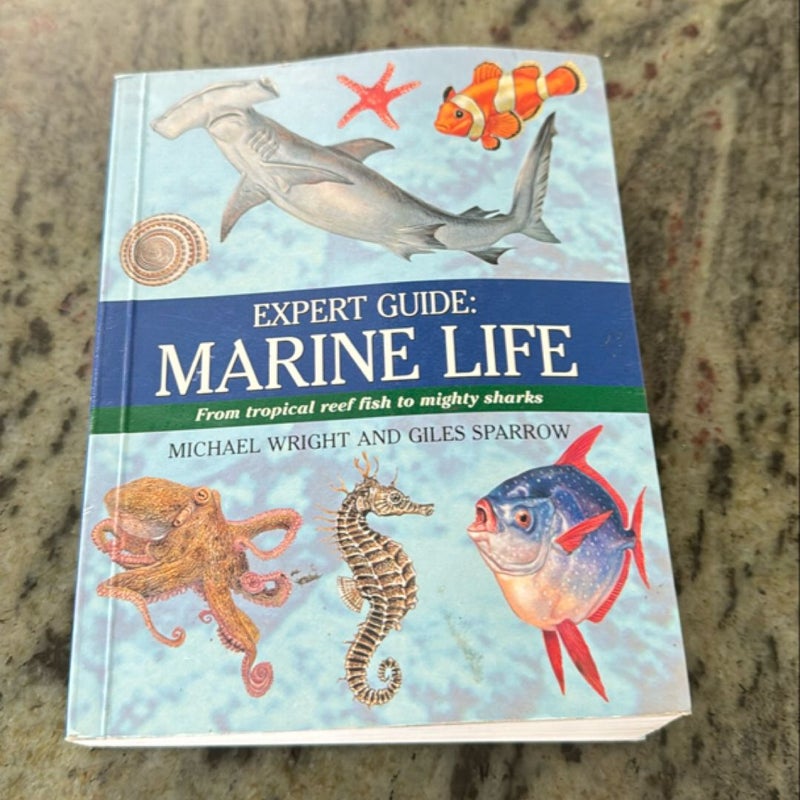 Expert Guide: Marine Life