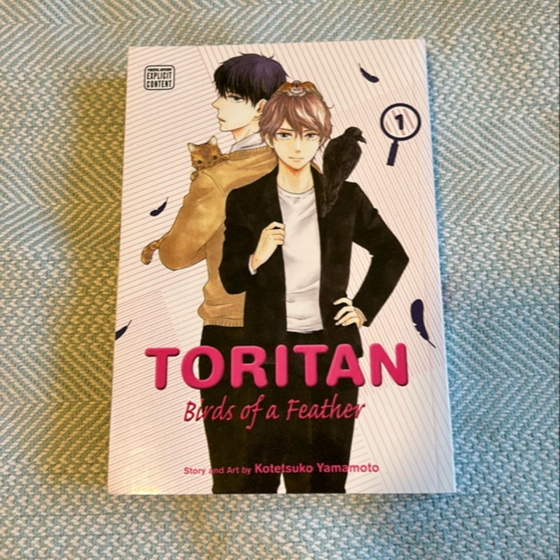 Toritan: Birds of a Feather, Vol. 1