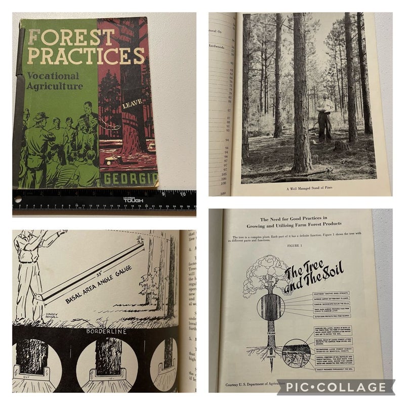 Forest Practices Vocational Agriculture Jobs 1955 US Education Georgia