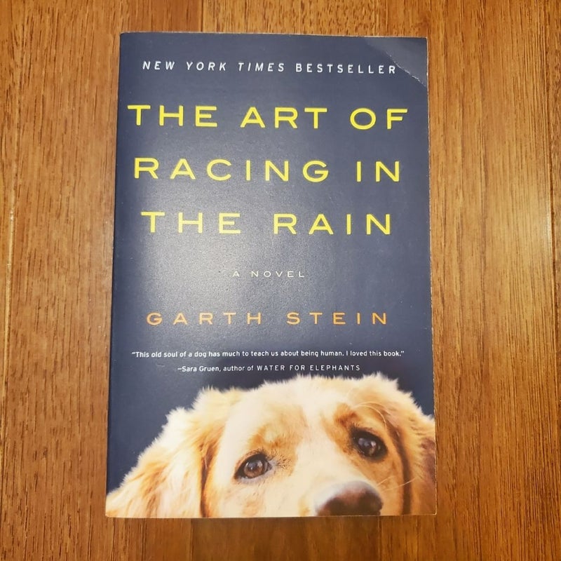 The Art of Racing in the Rain