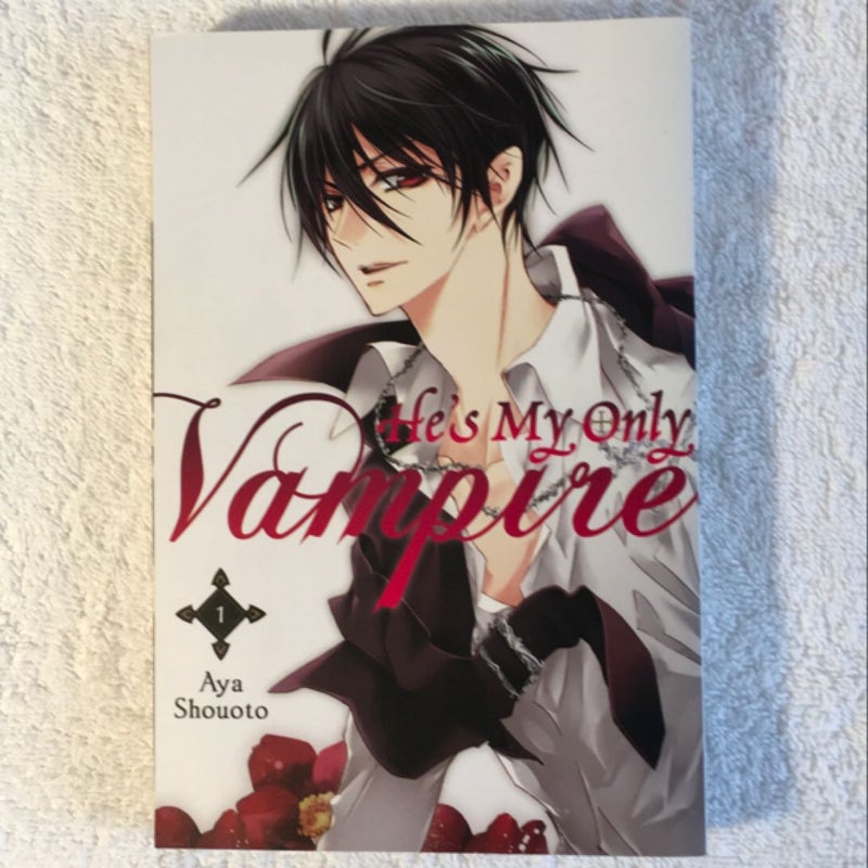 He's My Only Vampire, Vol. 1