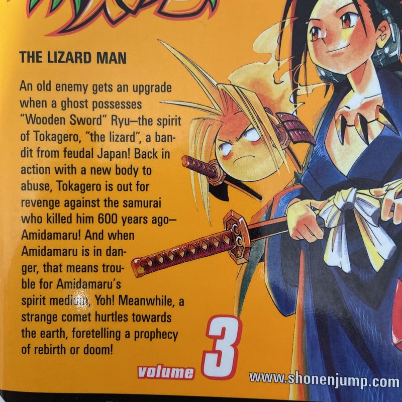 Shaman King, Vol. 3