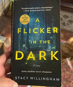 A Flicker in the Dark