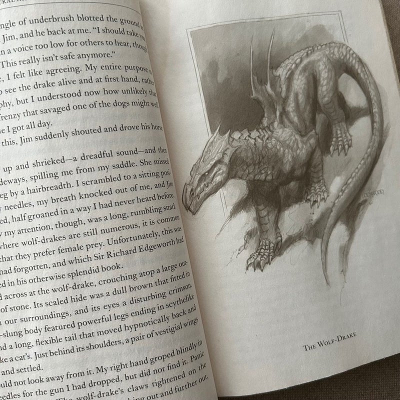 A Natural History of Dragons (1st Print Edition)