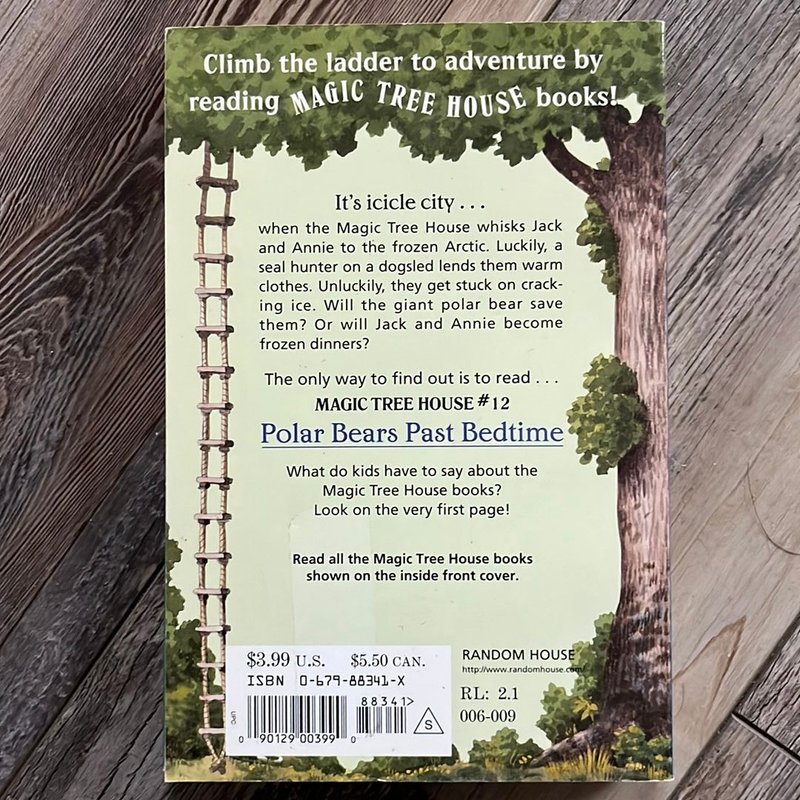 Collection of Magic Tree House Books - 4 in All by Mary Pope Osborne ...