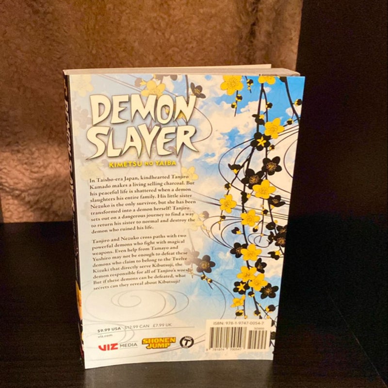 Demon Slayer: Kimetsu No Yaiba, Vol. 3