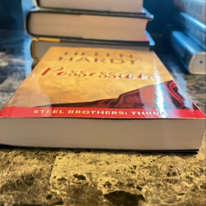 Possession (Steel Brothers #3)