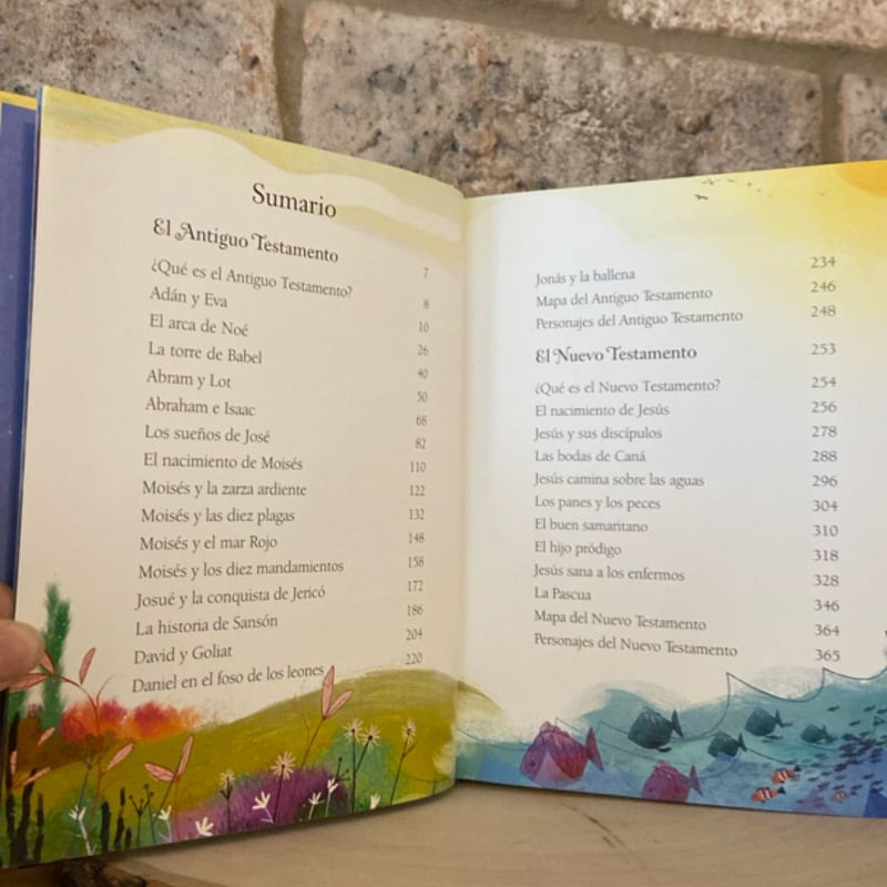 Relatos Ilustrados de la Biblia(Illustrated Bible Stories)