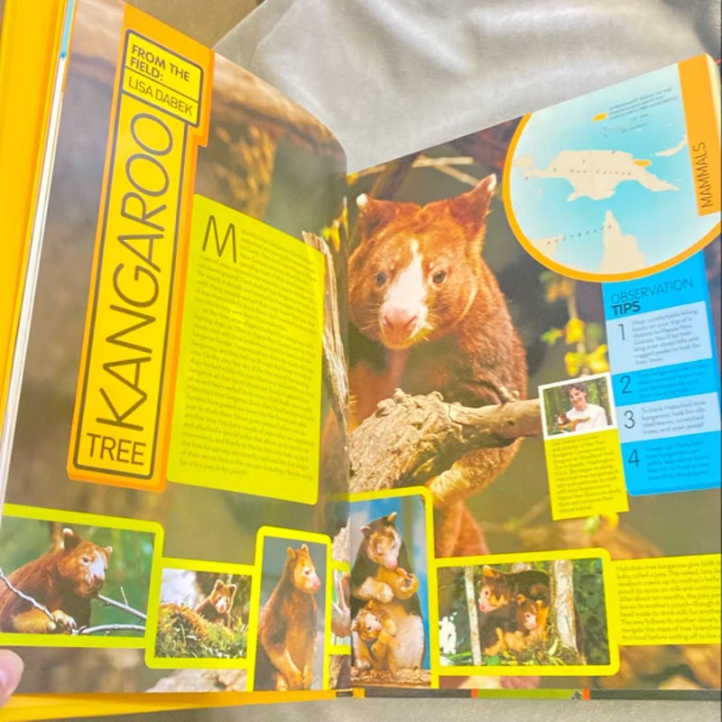 Animal Encyclopedia