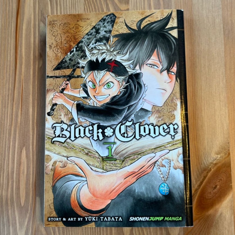 Black Clover, Vol. 1